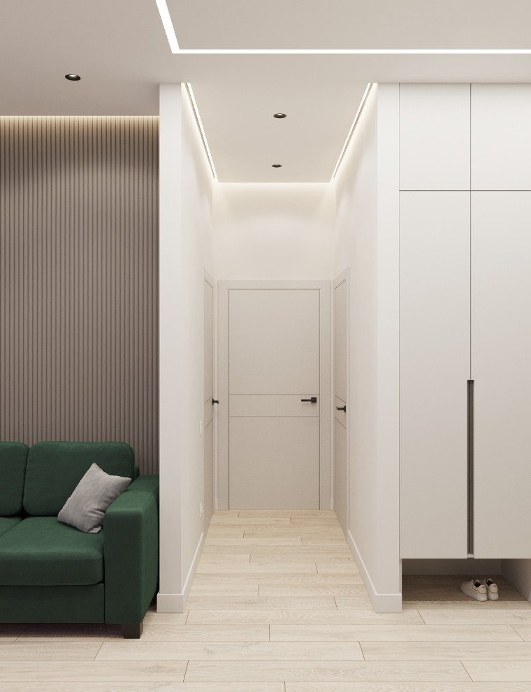 Прихожая/санузел ЖК Аристократ