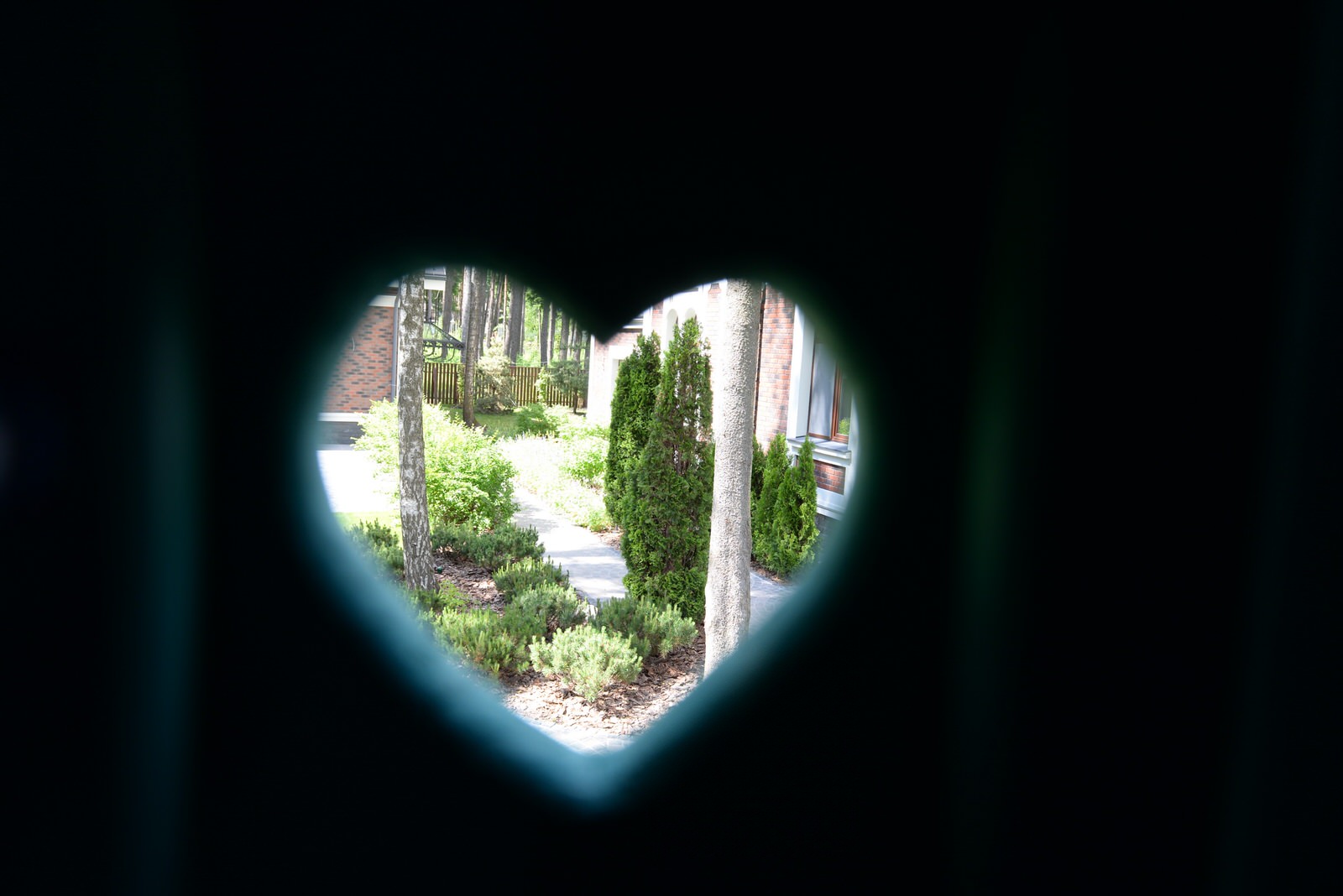 Новогорск 2021