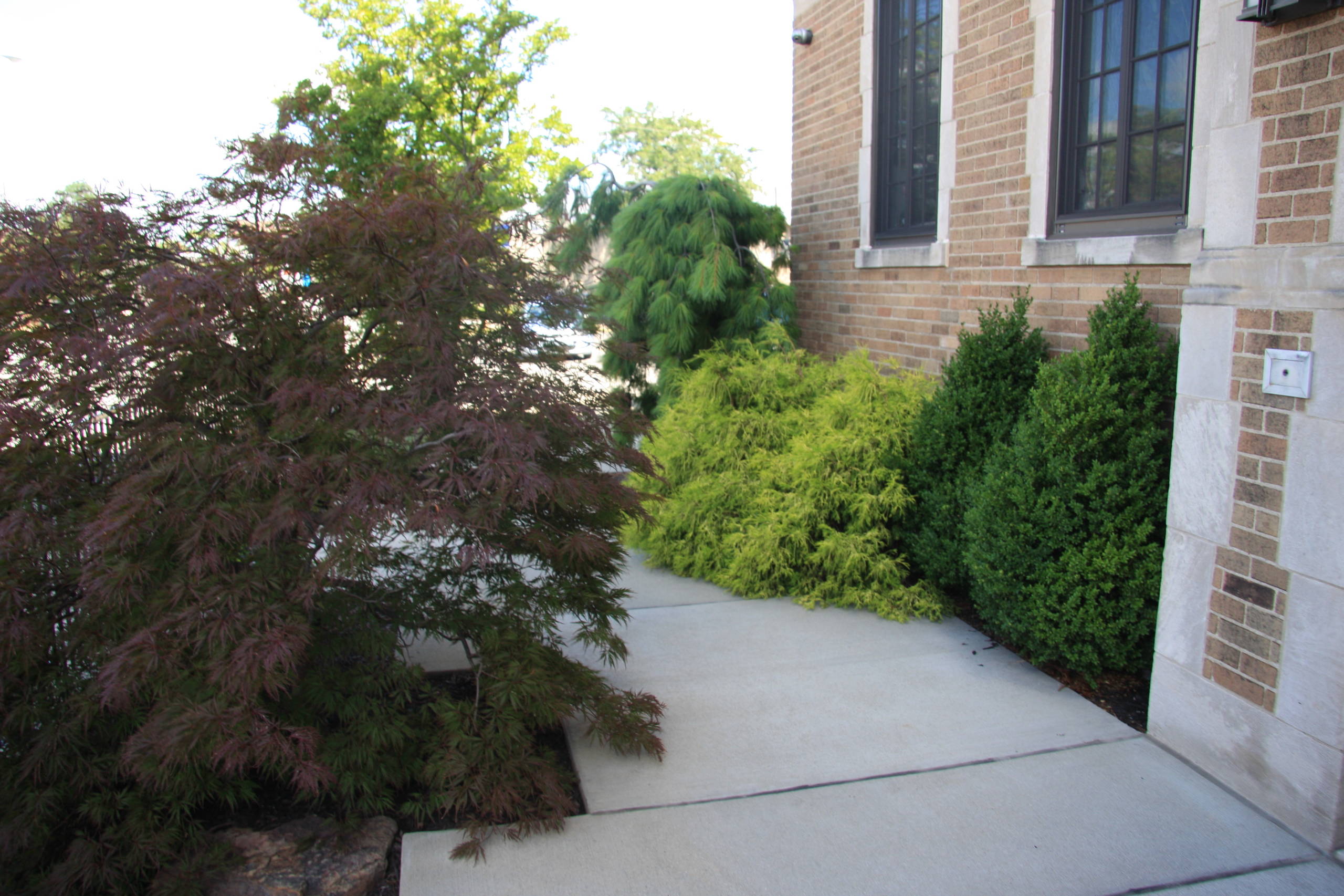 Wittern Roof top Garden