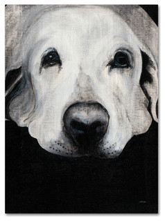 Dakota II Poster Print by Patsy Ducklow 24 x 24