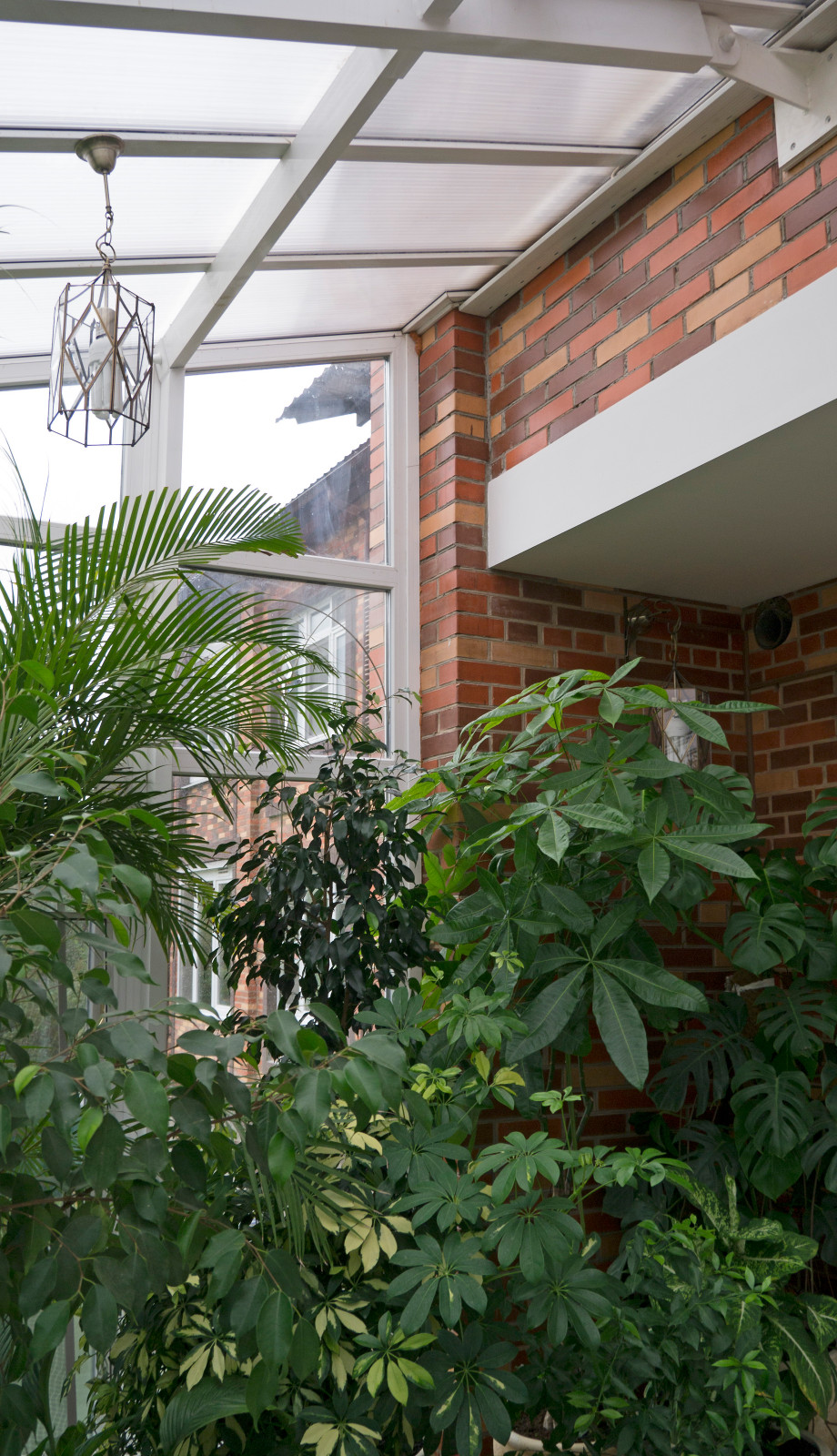 Мансарда. Вишневый сад