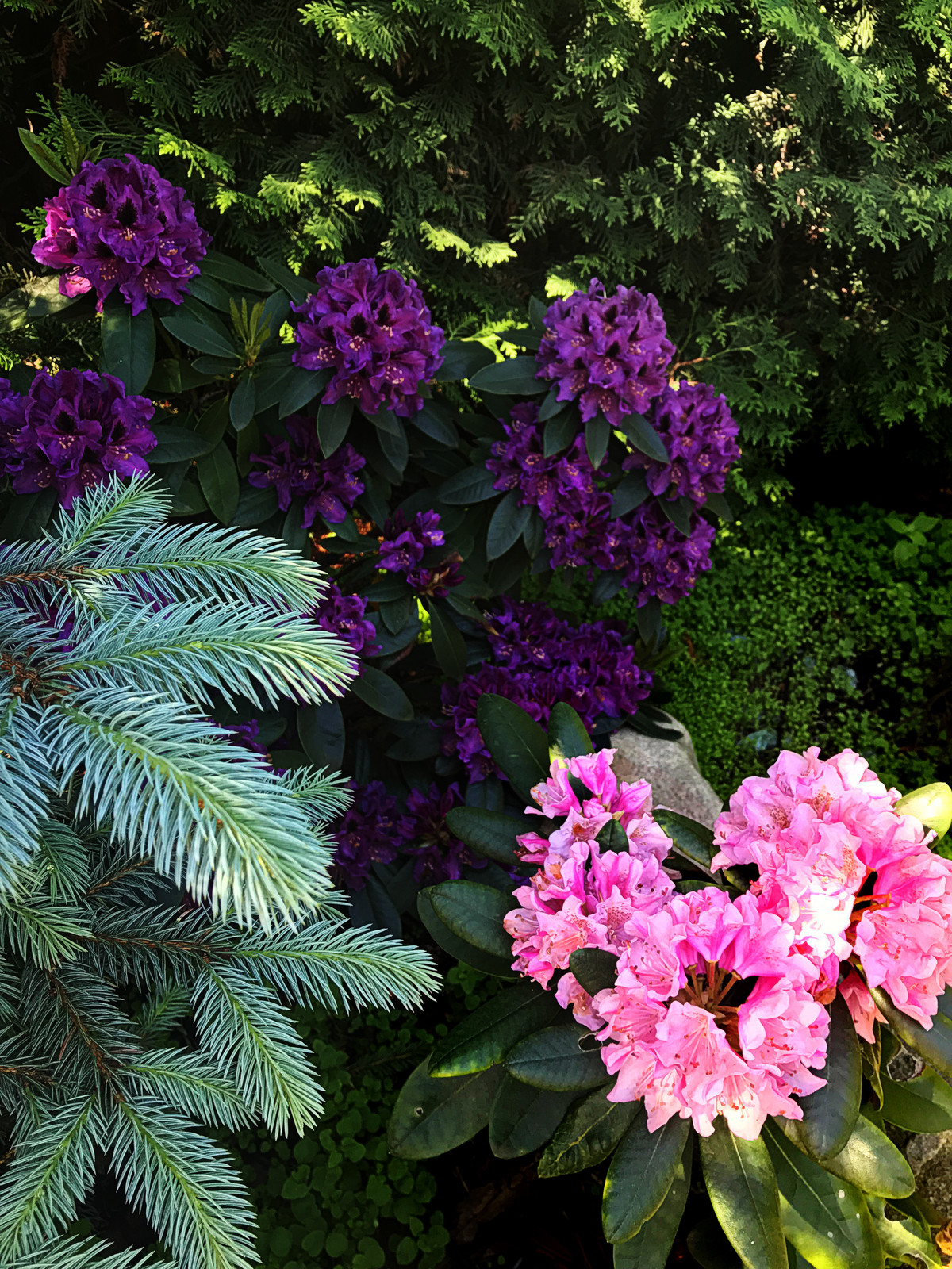 КП Княжье Озеро, 0,16 га