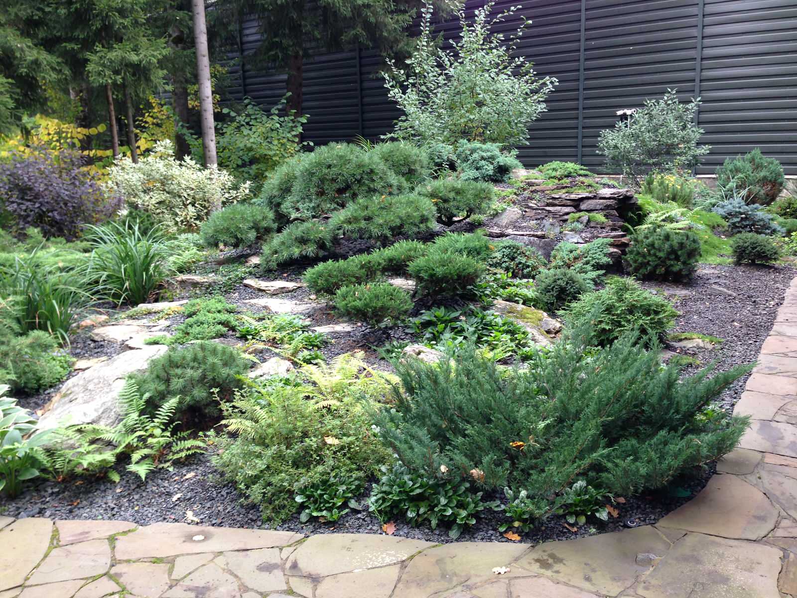 Успенское шоссе РИИТА