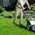 First impression Lawn and Landscape - Clearwater