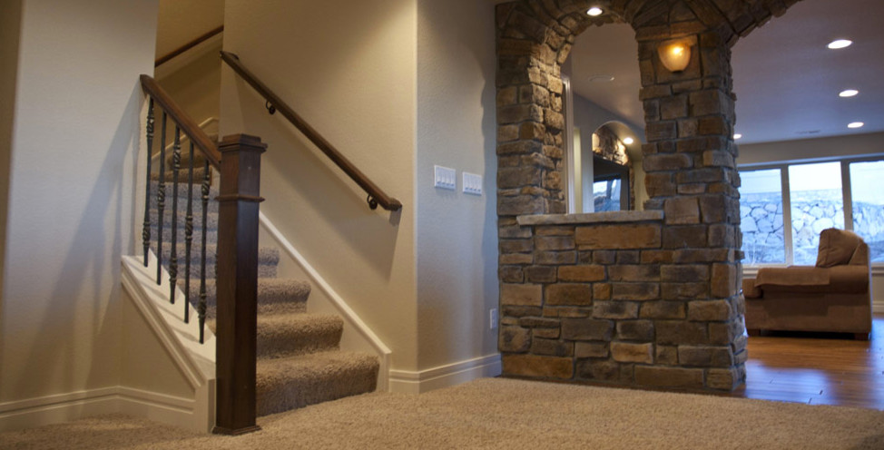 Mountain style basement photo in Denver