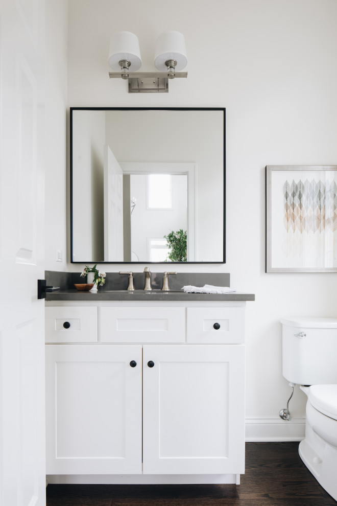 Example of a transitional home design design in Chicago