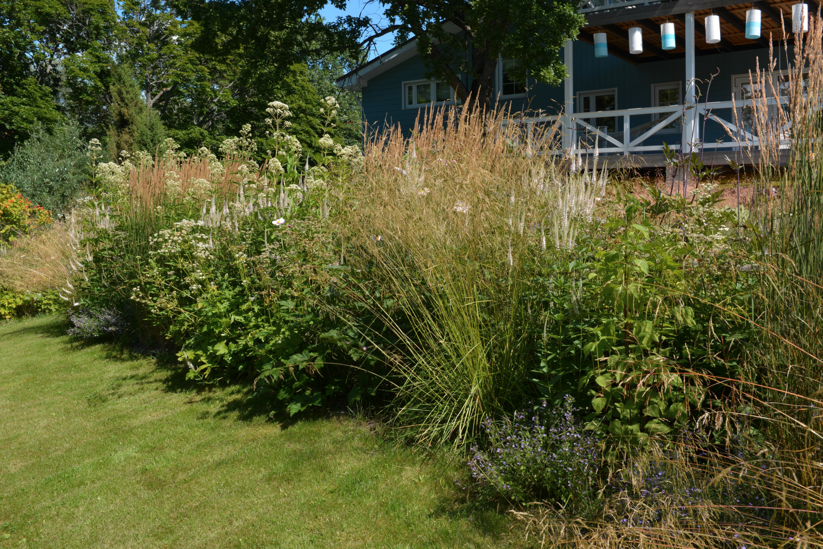 Злаковые цветники