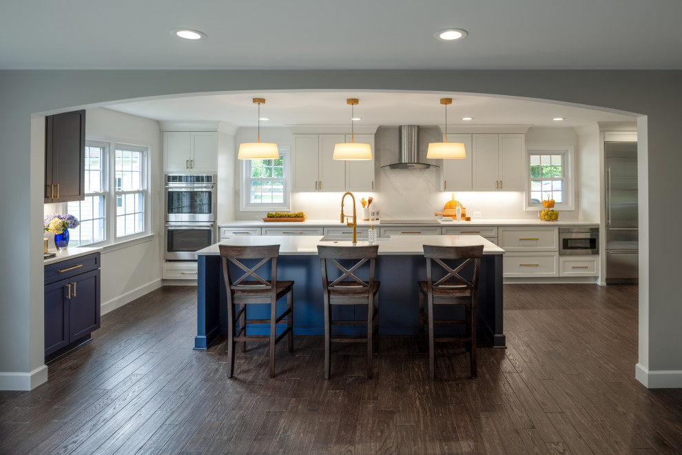 Inspiration for a transitional kitchen remodel in DC Metro
