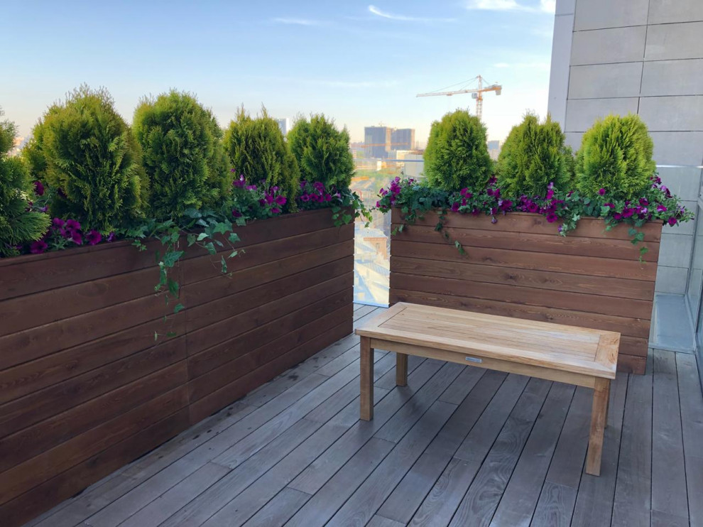 Малые формы