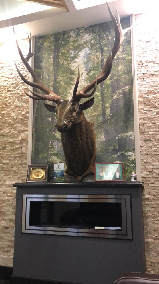 Встроенный биокамин с двойными шлифованными рамками