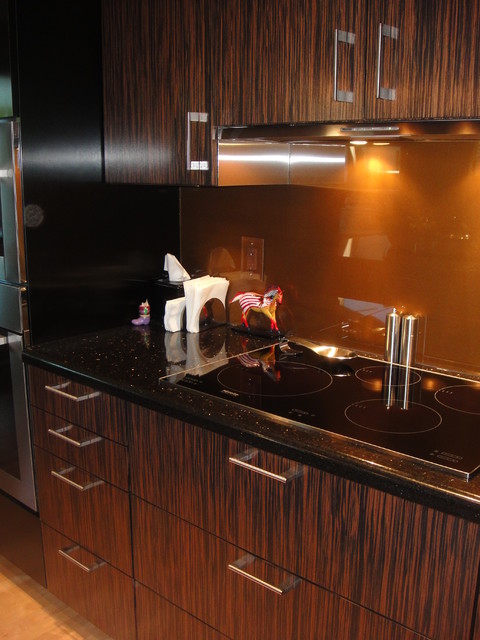 Kitchen contemporary-kitchen