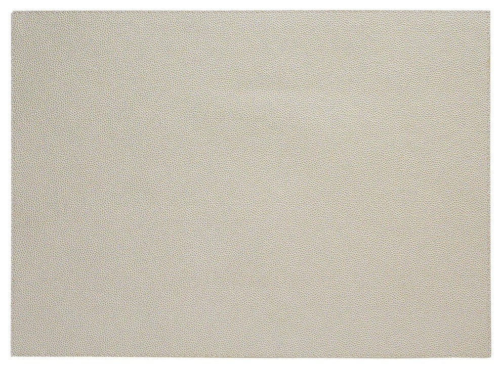 Skate Rectangle Vinyl Placemats, Pearl, Set of 4 Contemporary