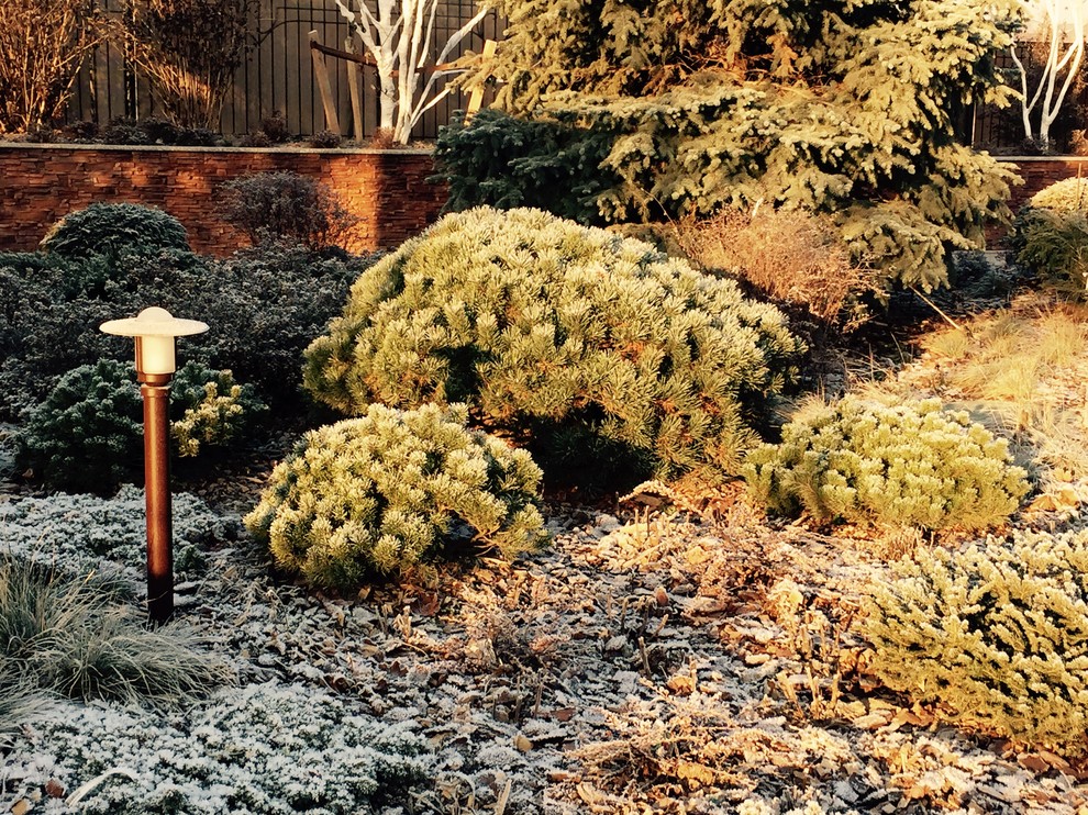 Миллениум2014