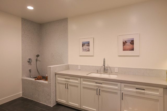 Phillips Road Residence contemporary-laundry-room