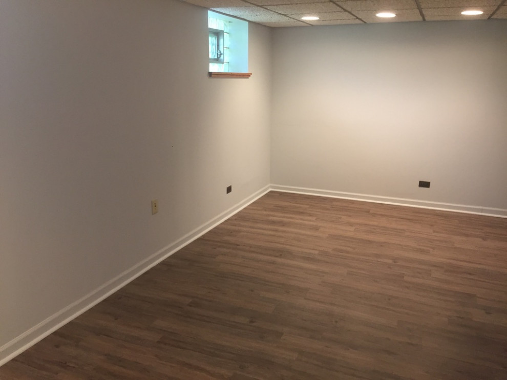 After - Dark Basement Transformation