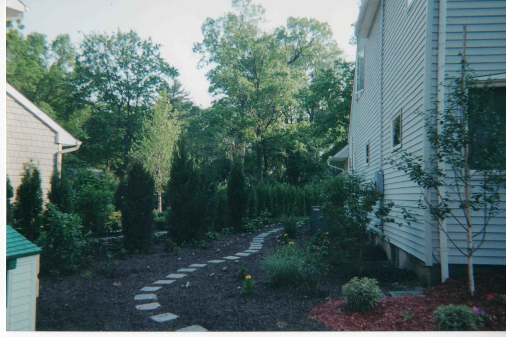 Backyard oasis and complete renovation