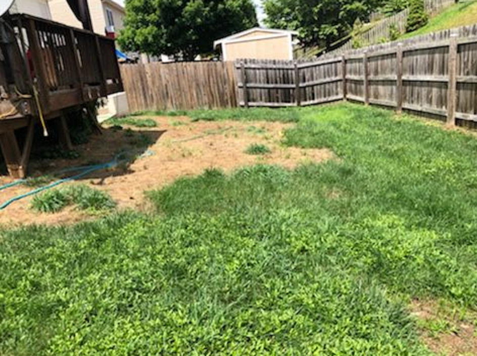 Before/After