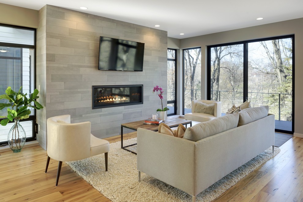 Contemporary living room in Minneapolis.