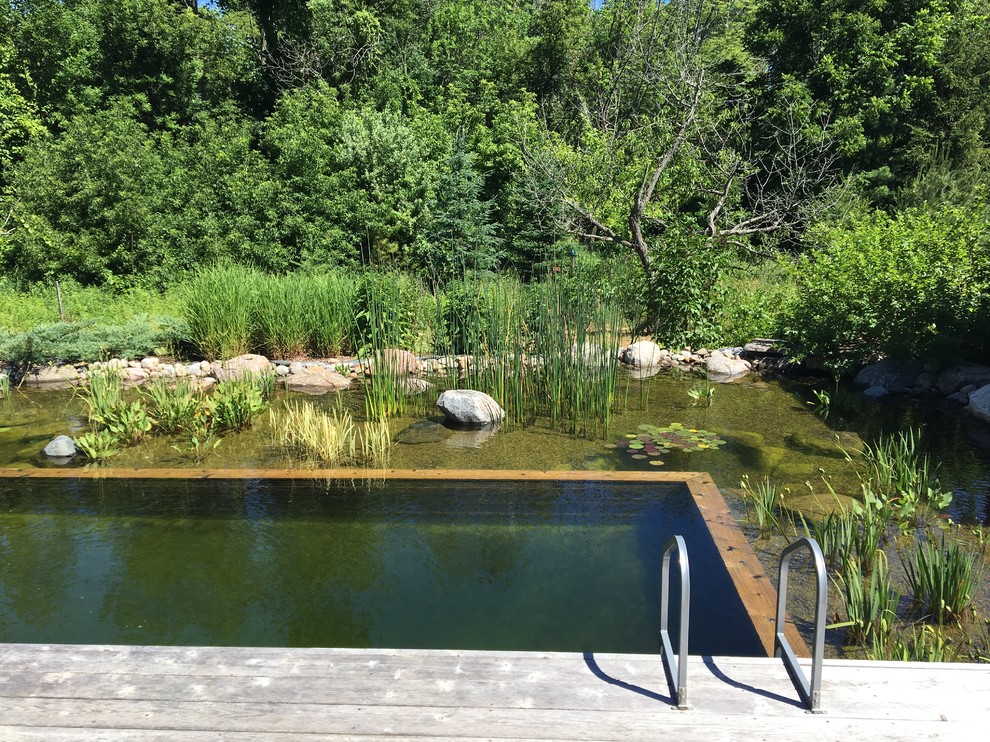 Small country backyard custom-shaped natural pool in Toronto with decking.