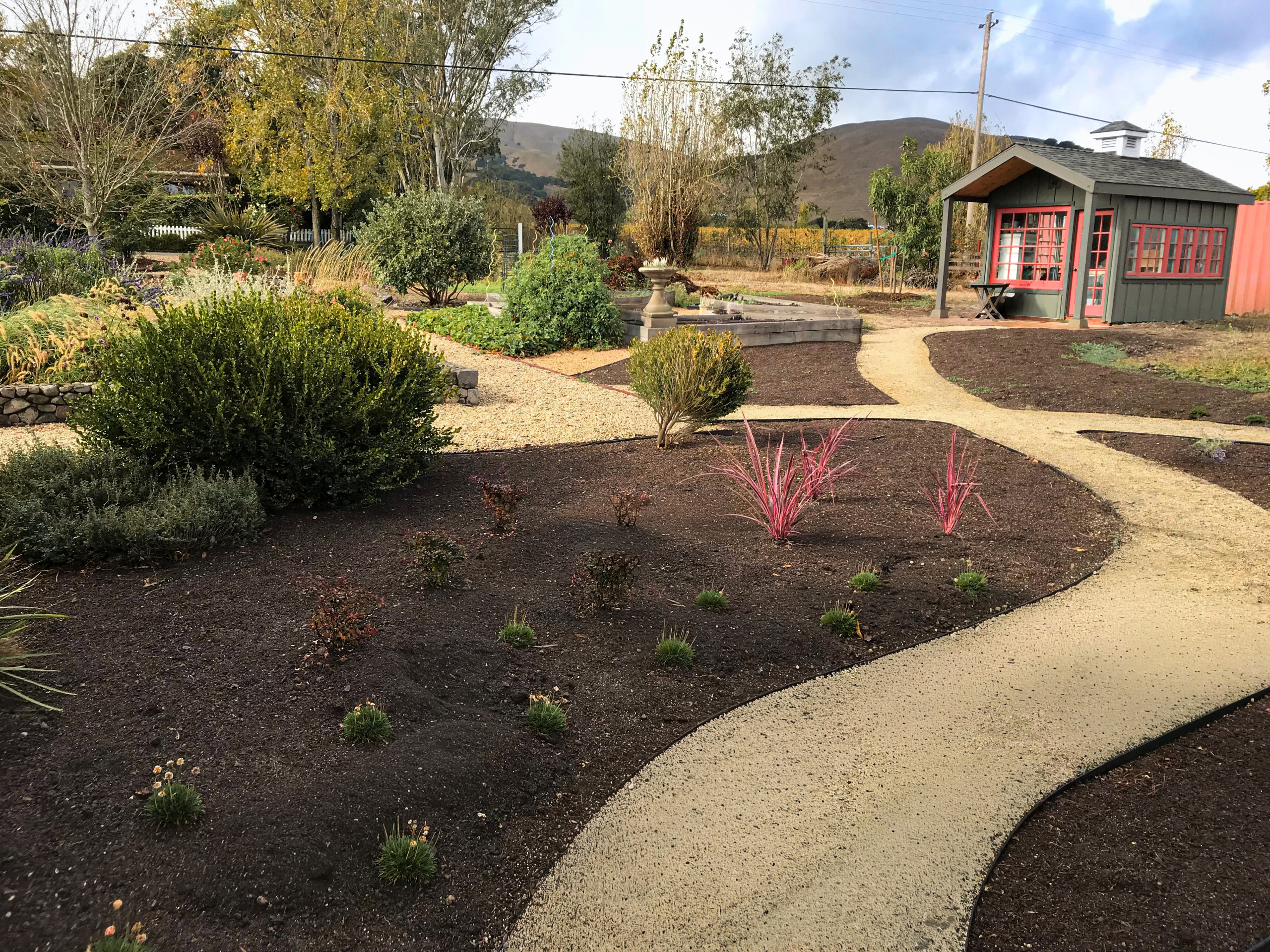 Paths and Planting in Sonoma