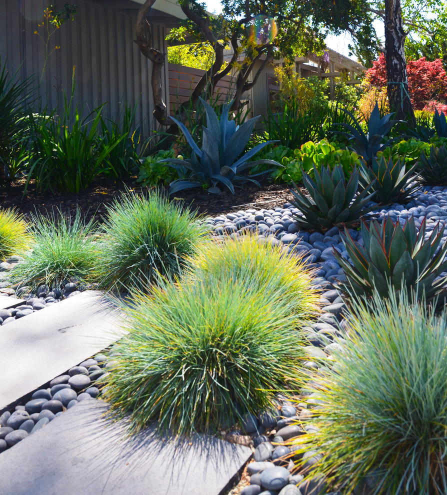 Design ideas for a landscaping in San Francisco.