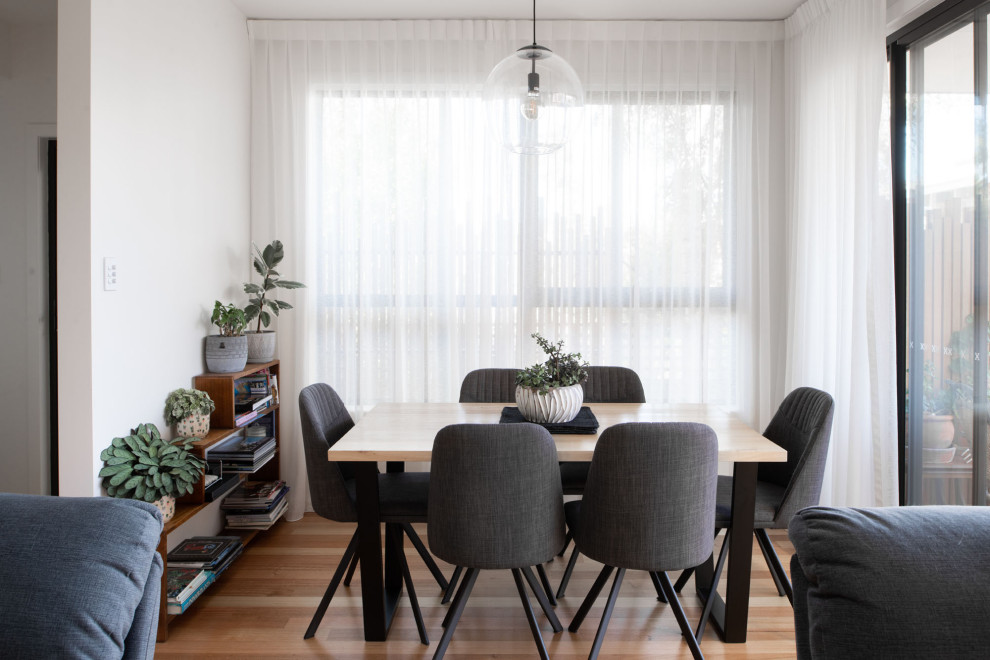 Design ideas for a small contemporary dining room in Hobart.