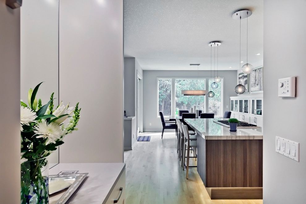 Kitchen - transitional kitchen idea in Minneapolis