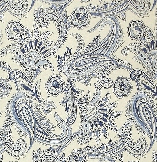 paisley denim fabric