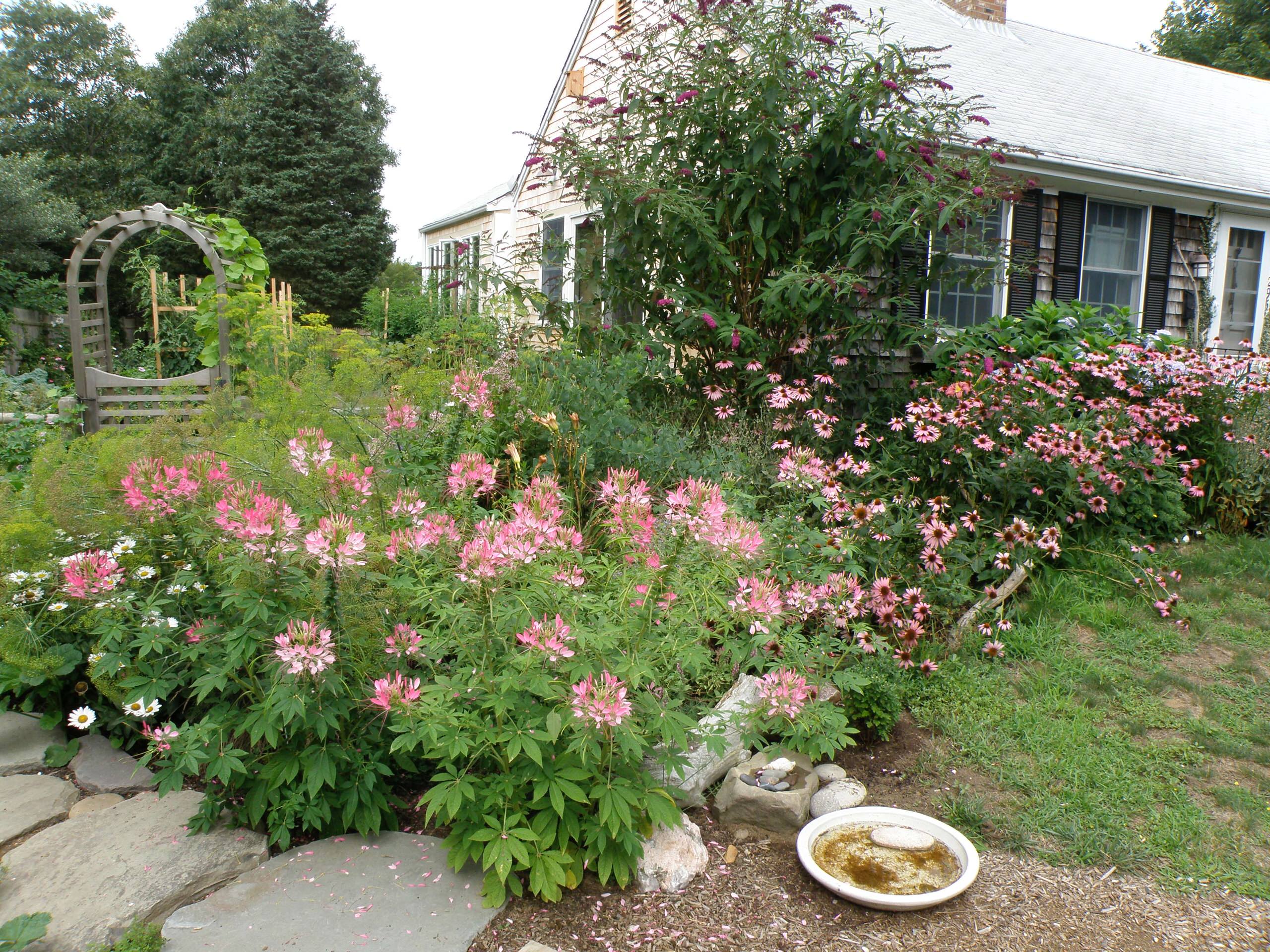 Garden Design