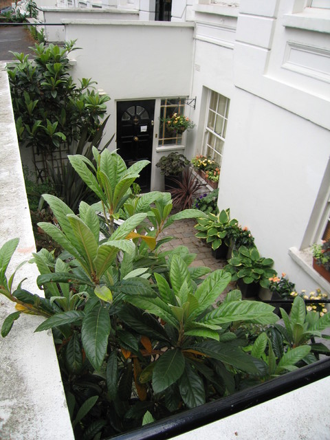 A basement garden klassisk-uteplats