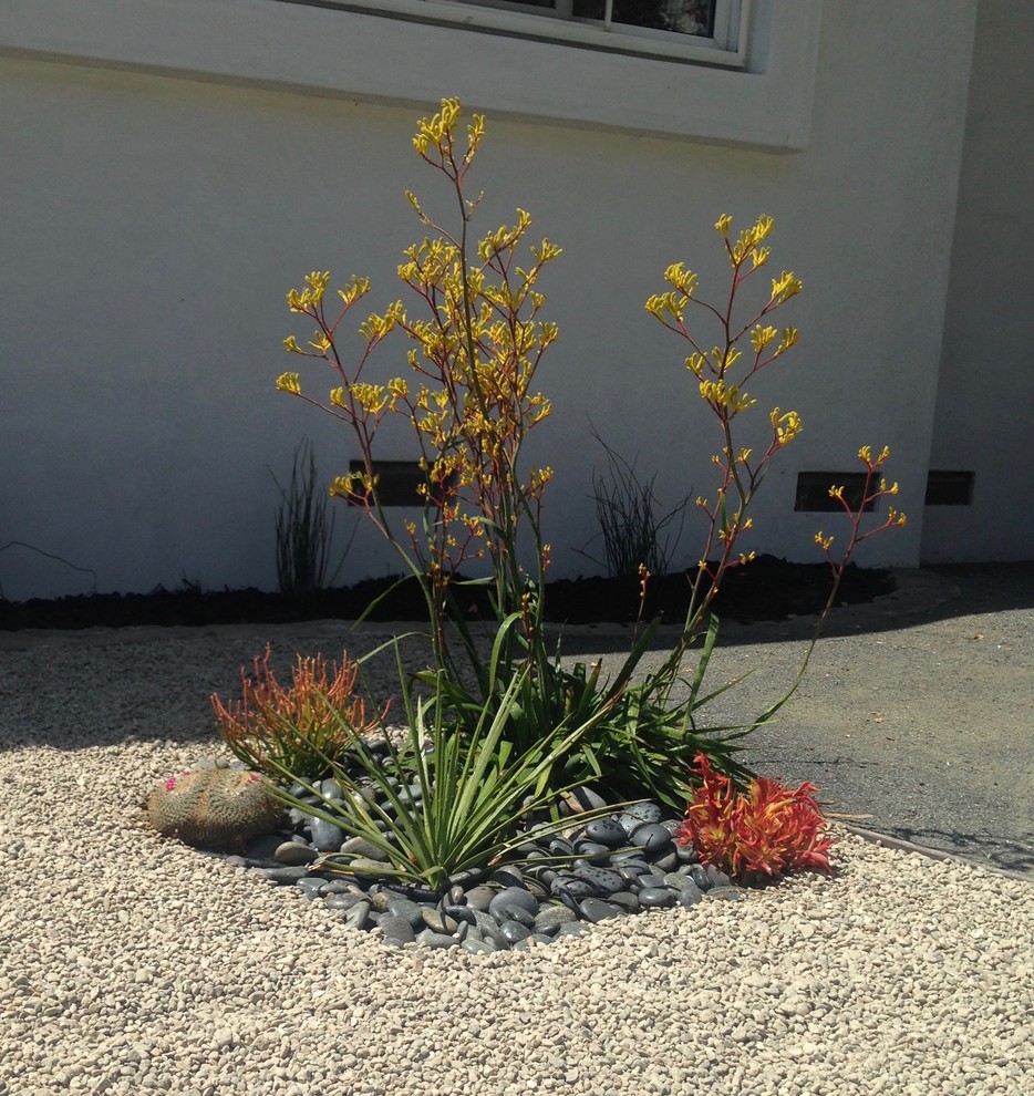 This is an example of a mid-sized modern front yard partial sun xeriscape in Los Angeles with gravel and a retaining wall.