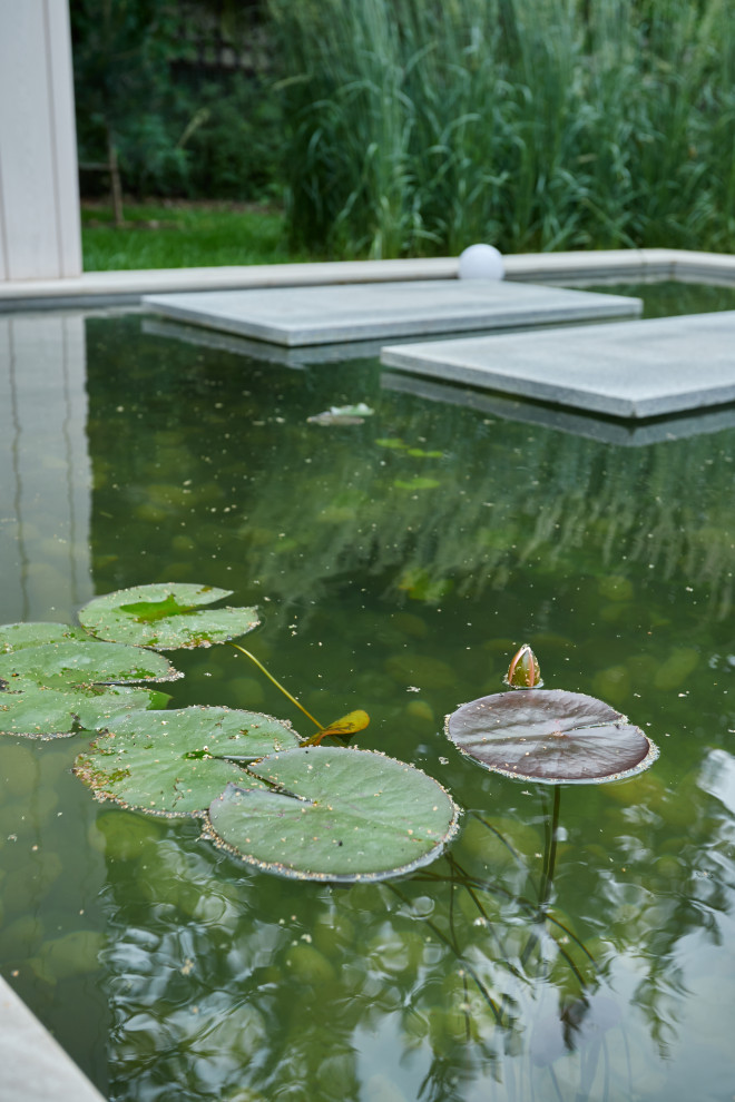 Водоем:Чистые линии