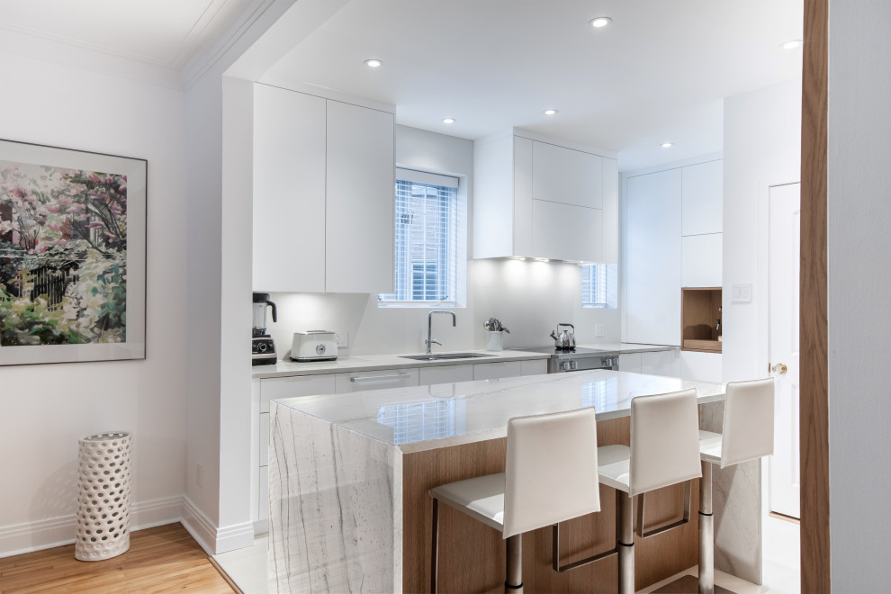 Modern Minimalist Kitchen Montreal