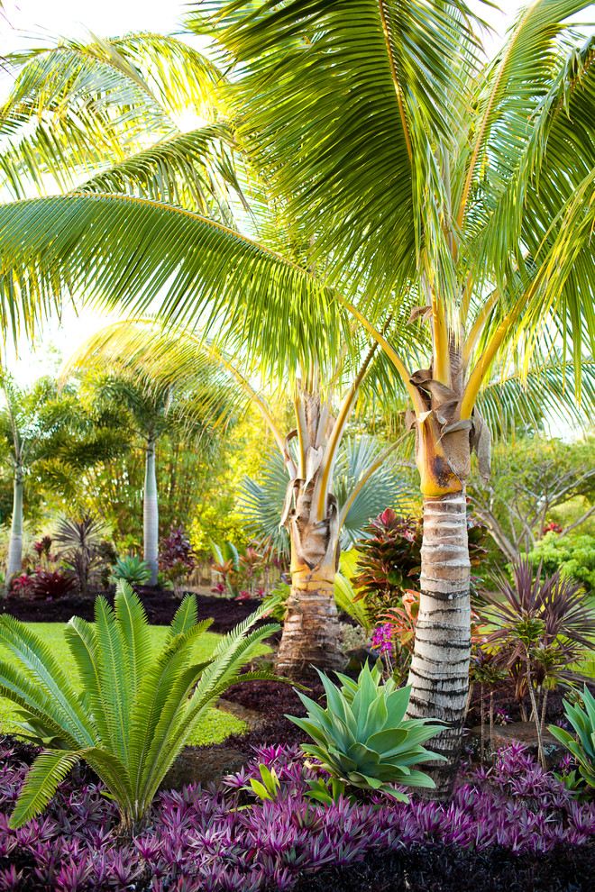 Design ideas for a tropical backyard garden in Hawaii.