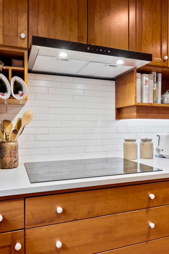 Douglas Park - Induction Cooktop and Range Hood