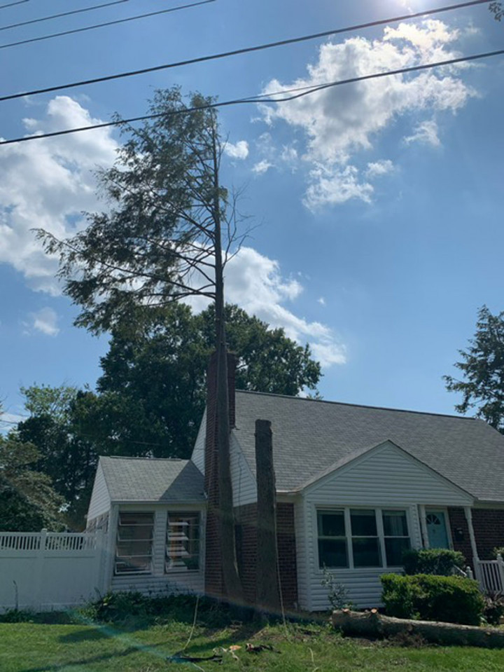 Trees are an integral part of any yard, but they can be dangerous if they're allowed to grow unchecked. Branches hanging over your home or nearby power lines can be disastrous in the event of a storm