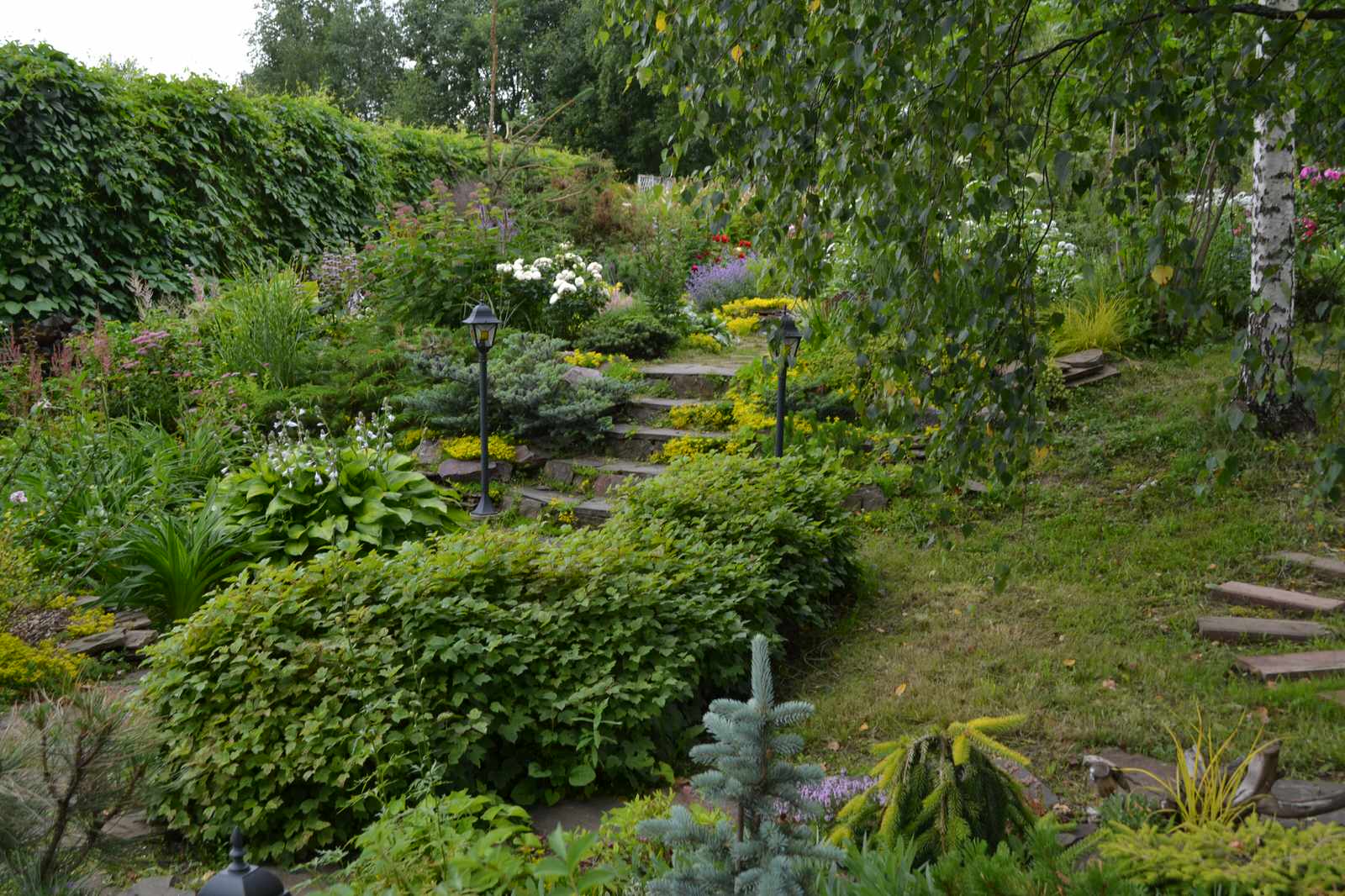 Сад  «Моя цветущая планета».