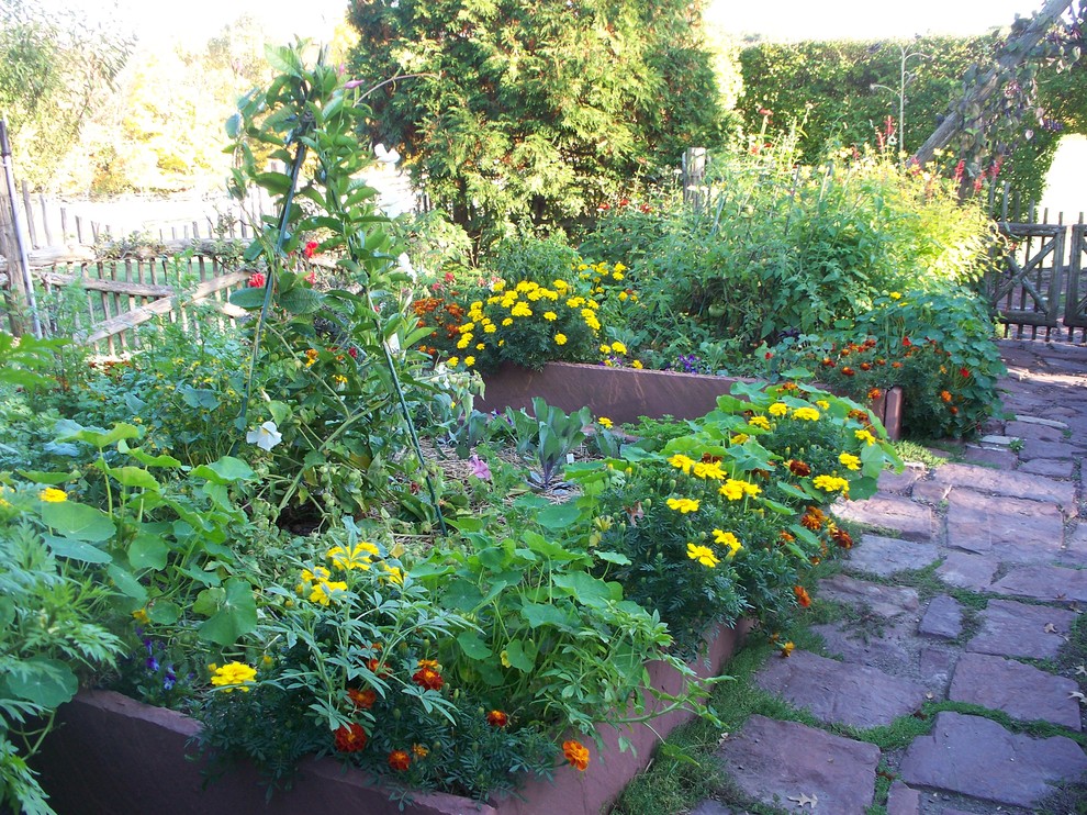 Photo of a traditional garden in Philadelphia with with raised garden bed.