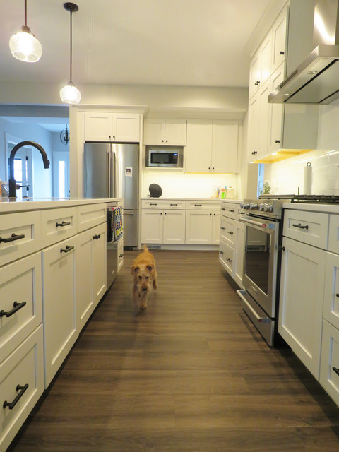 Classically Transitional transitional-kitchen