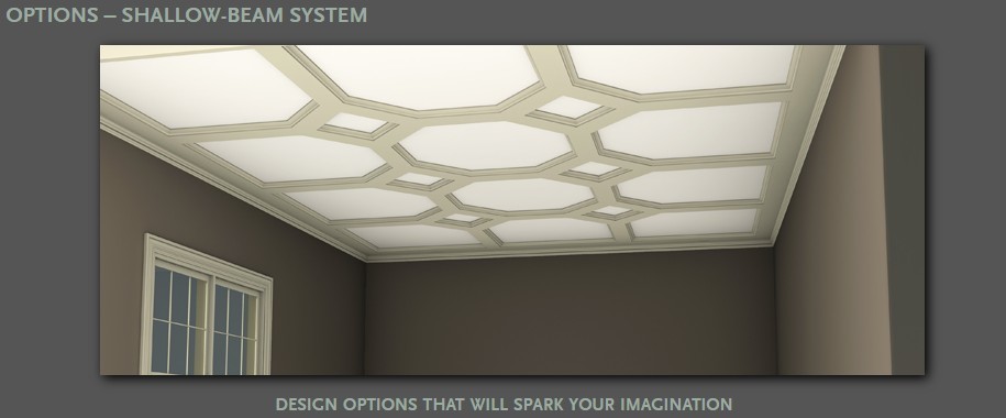 Inspiration for a transitional home design remodel in Chicago