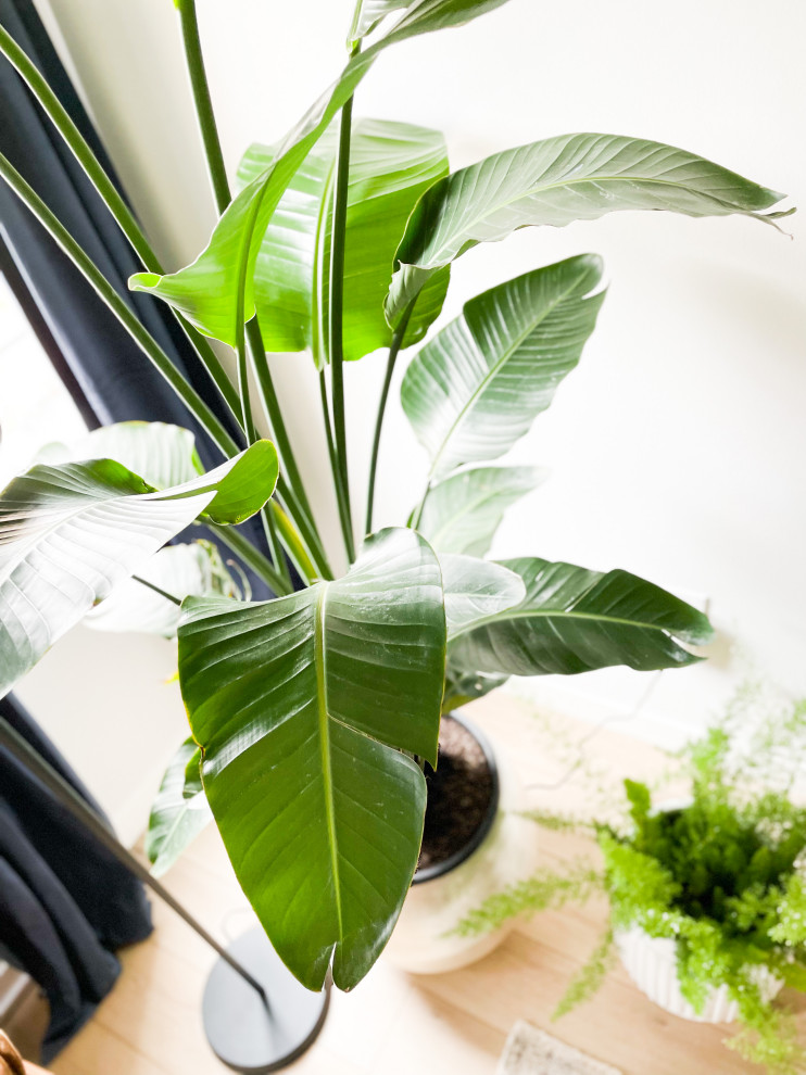 Modern Masculine Living | Cherry Creek, CO | Contemporary Condo Remodel