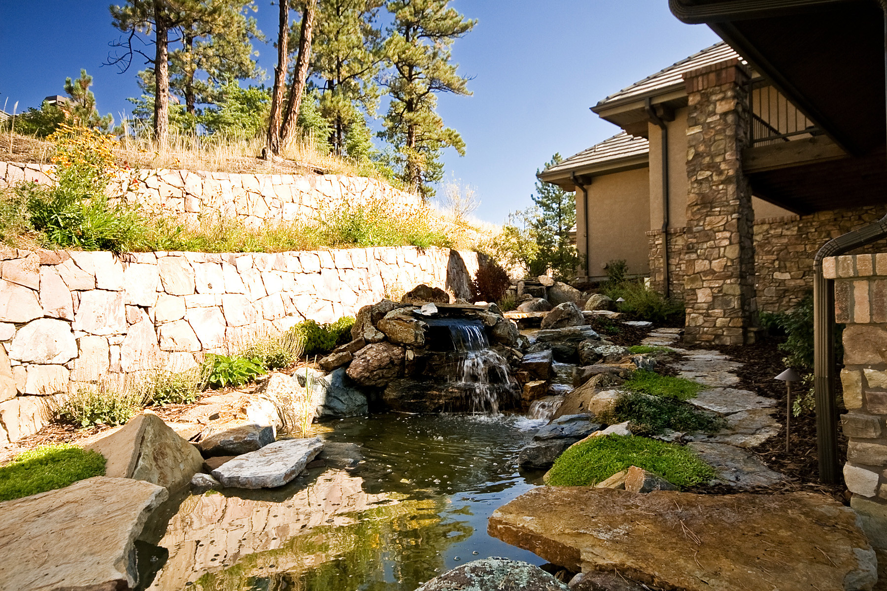 Castle Pines Mountain Rustic