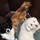michelle_young5871566