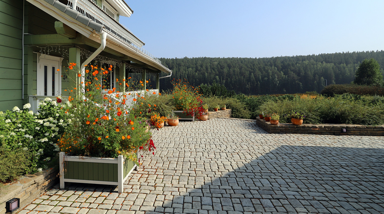 Полынный берег. Новые снимки