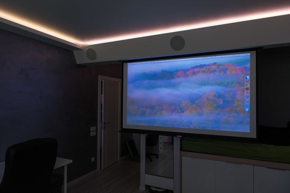This is an example of a home theatre in Moscow.