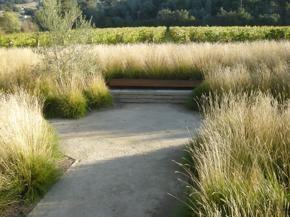 Design ideas for a contemporary backyard full sun garden in San Francisco.