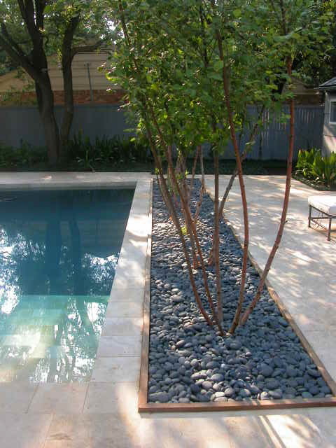 Design ideas for a modern pool in Dallas.