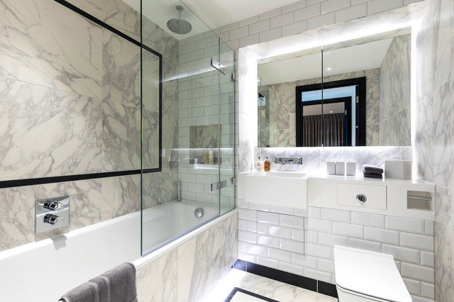 A Pimlico apartment project contemporary-bathroom