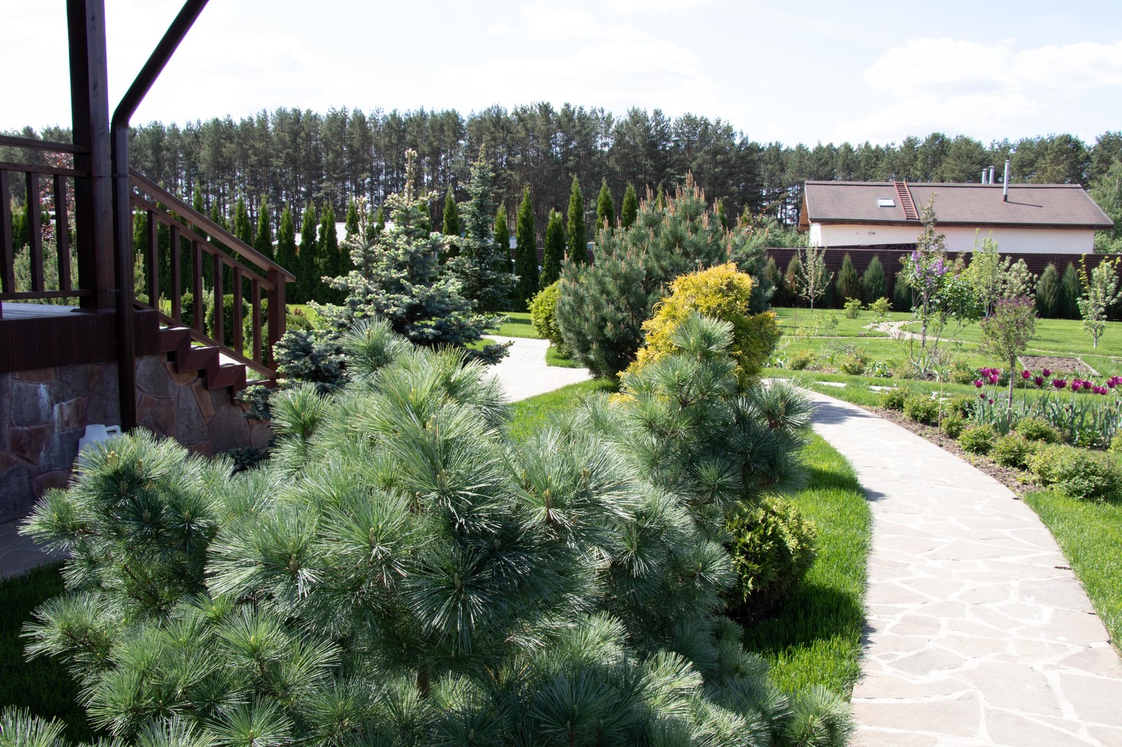 Сосновые берега