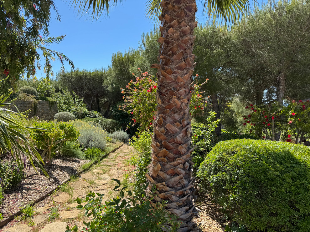 La Ciotat (Bouches du Rhône) - Jardin méditerranéen en restanques